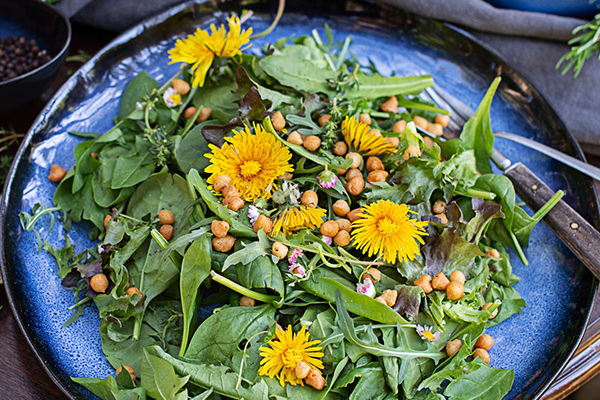 Wild herbs salad with edible flowers