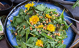 Wild herbs salad with edible flowers