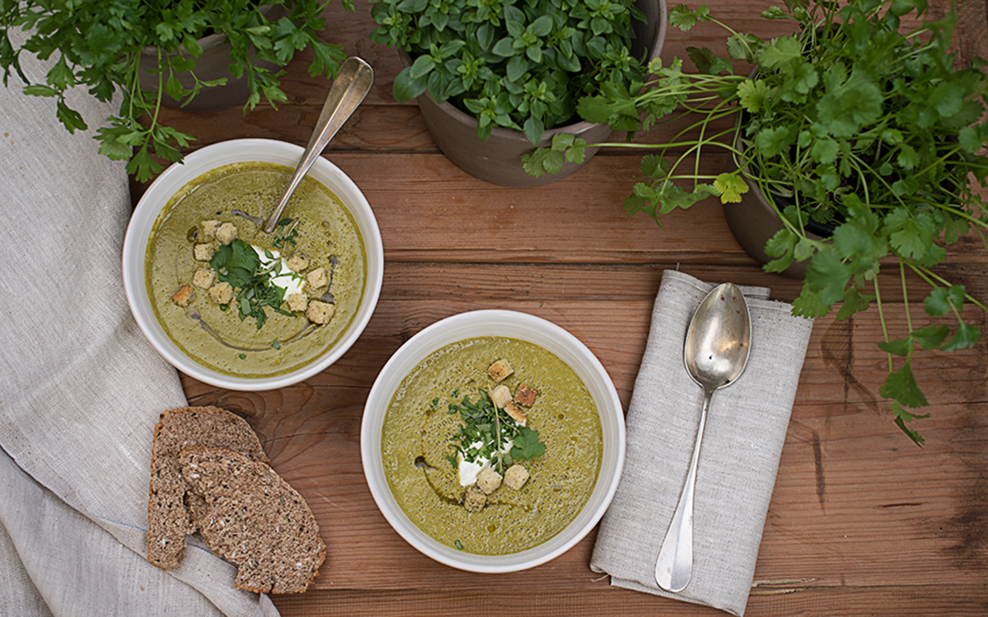 Kräuterschaumsuppe mit Croutons - LAND-LEBEN