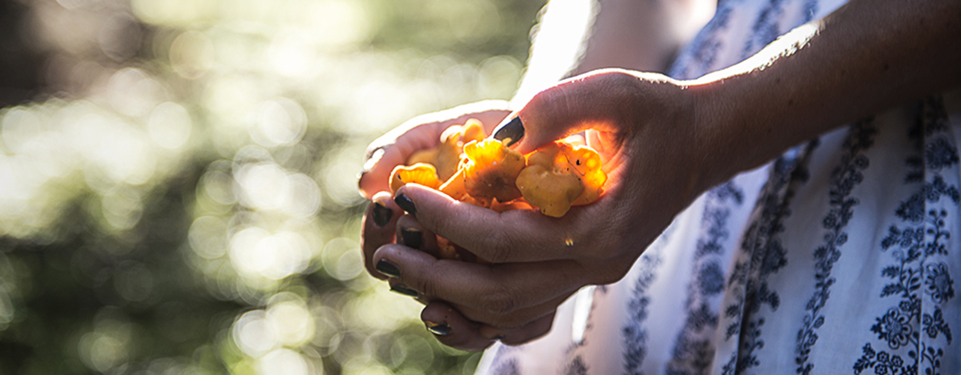 Autumn is the season for mushrooms!